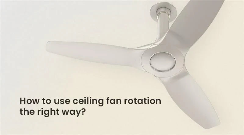 How to Use Ceiling Fan Rotation the Right Way for Every Season